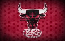 速雷体育-天价新星引豪门角逐，曼联评估霍伊伦未来，标价4000万镑或成转会市场焦点