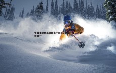 速雷体育-中国击剑俱乐部联赛十周年，铸剑十年，与梦想同行