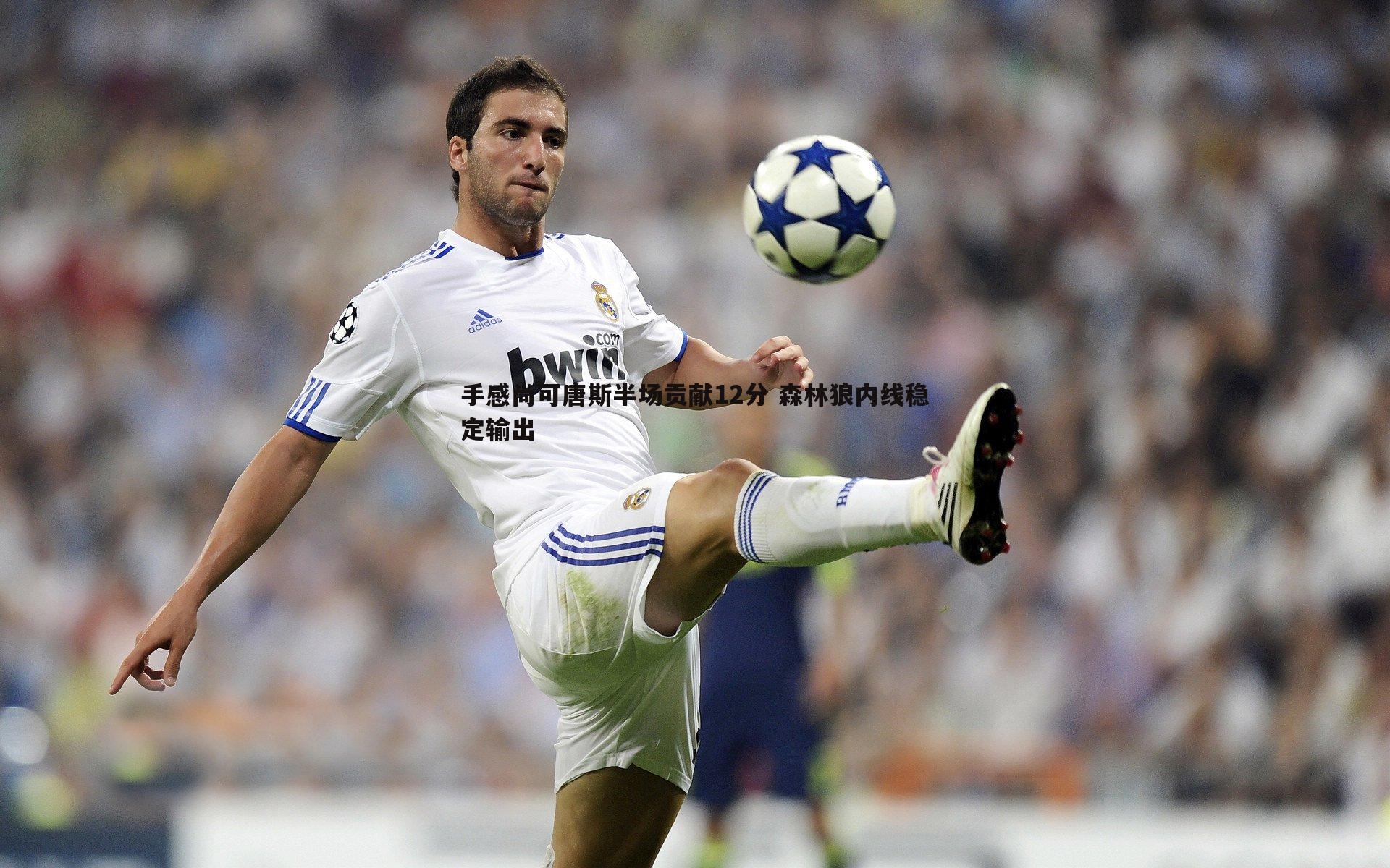 手感尚可唐斯半场贡献12分 森林狼内线稳定输出