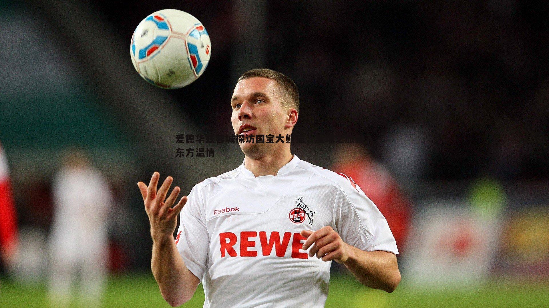 爱德华兹蓉城探访国宝大熊猫，篮球之旅融入东方温情