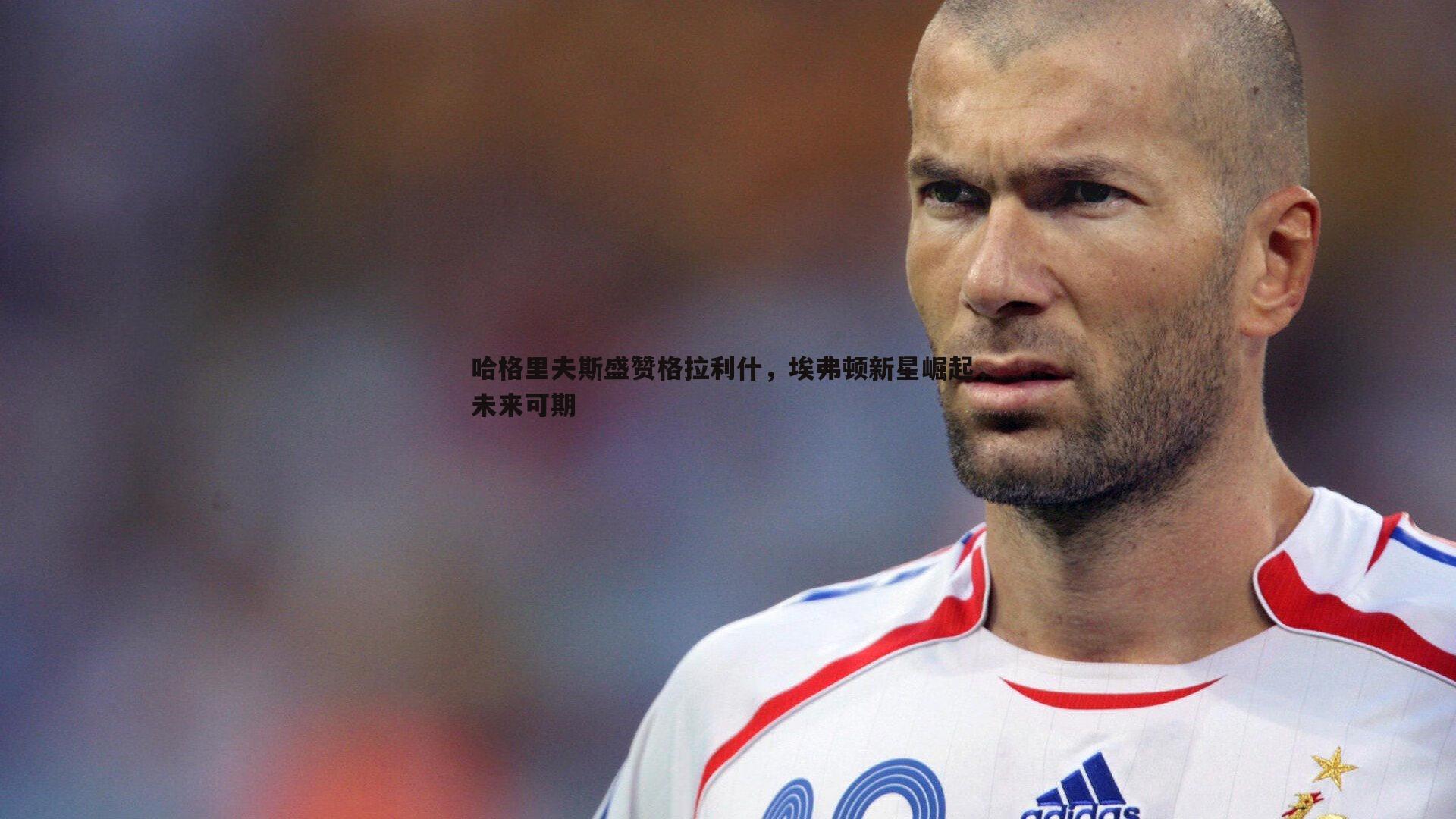 哈格里夫斯盛赞格拉利什，埃弗顿新星崛起，未来可期